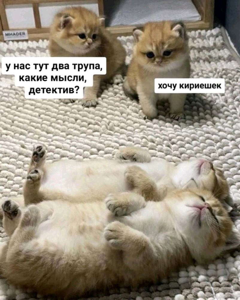 🤩😅