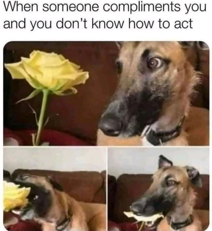 Funny.