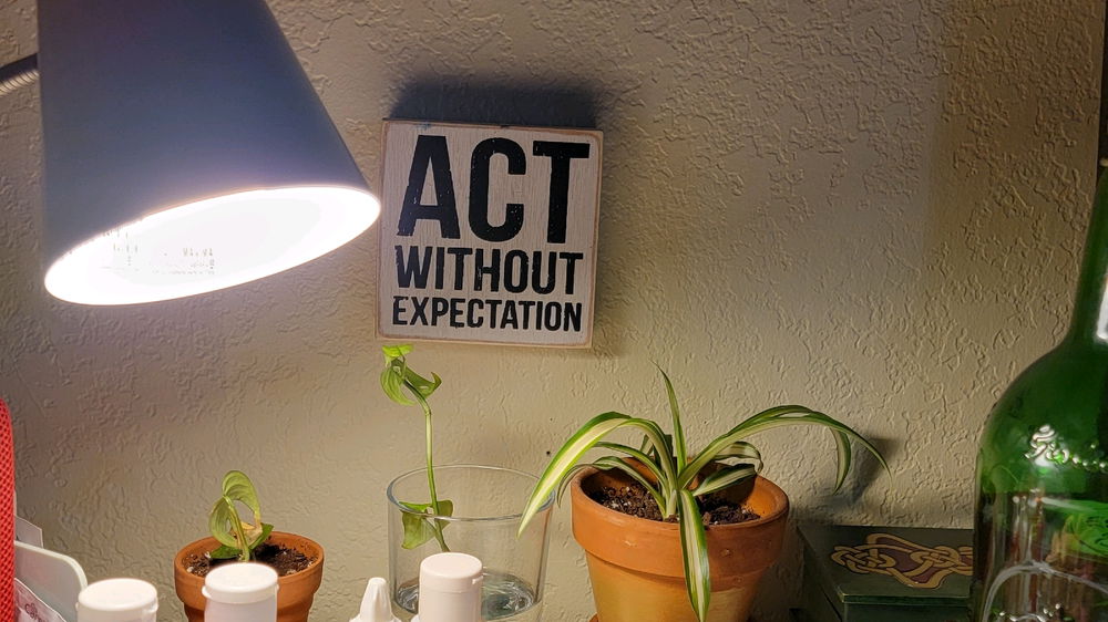 Act without expectation