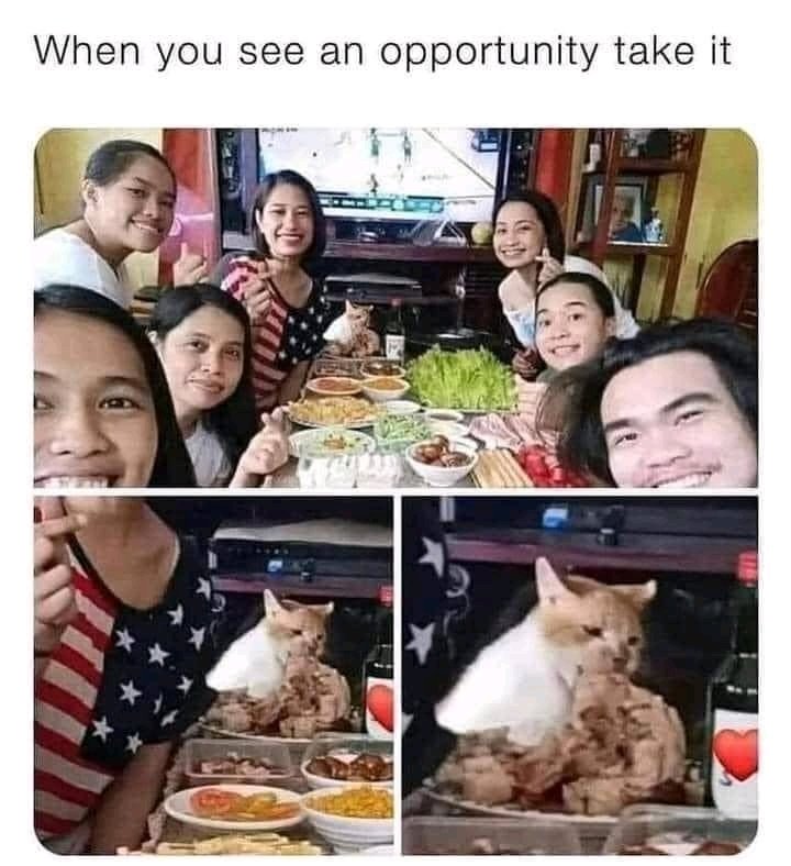 So me when I'm hungry 😋 🤣 don't mind, I need my tummy full 🤤