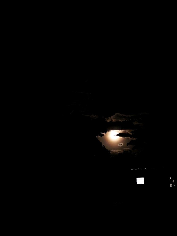 🌕