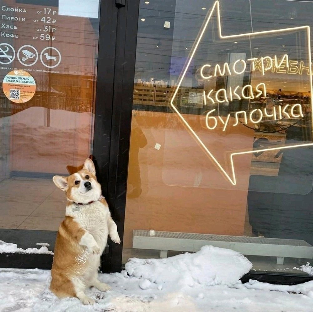 Люди странные, но мне они нравятся