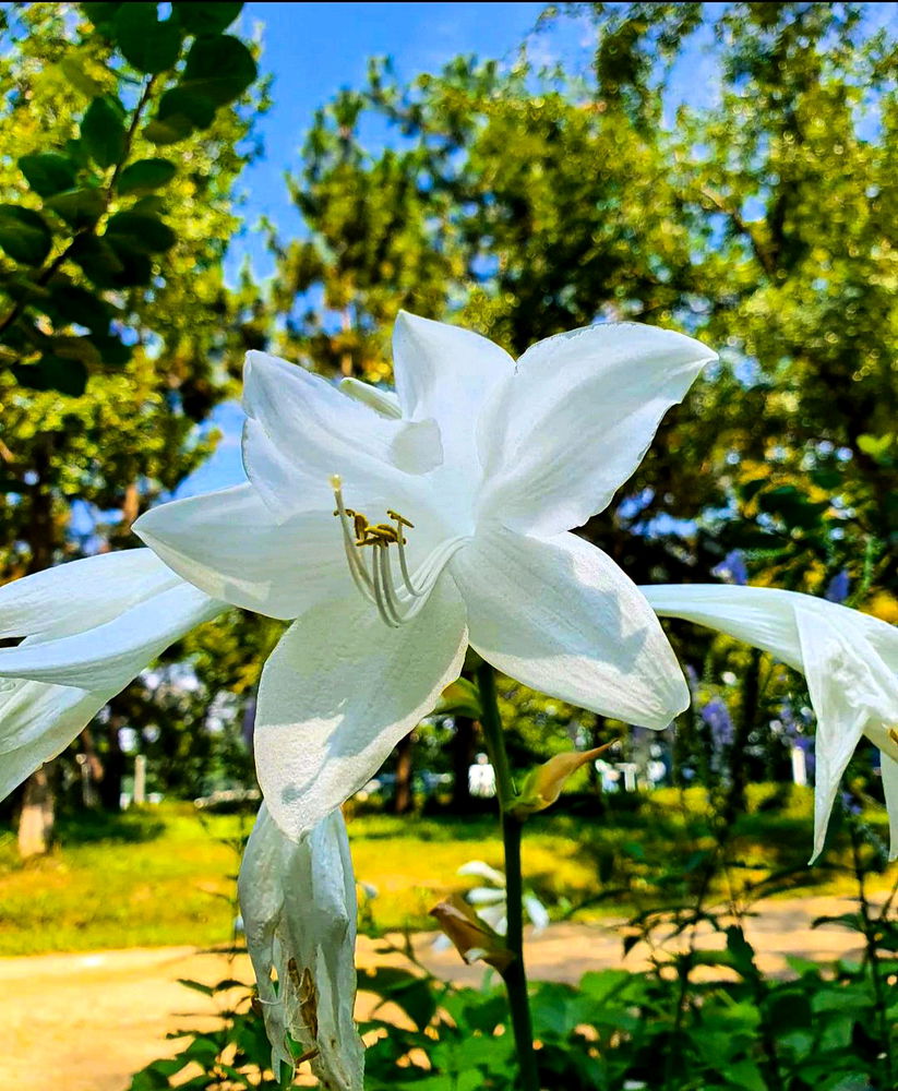 Beautiful or not