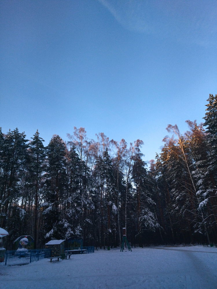 Новогоднее настроение 😊🎄✨