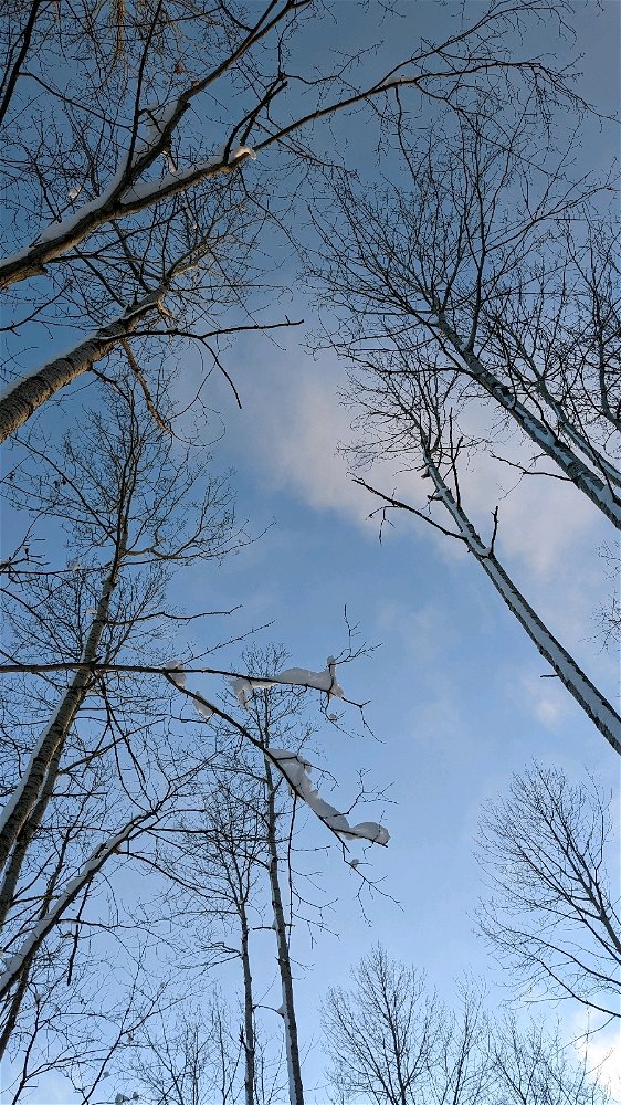 Sky pic