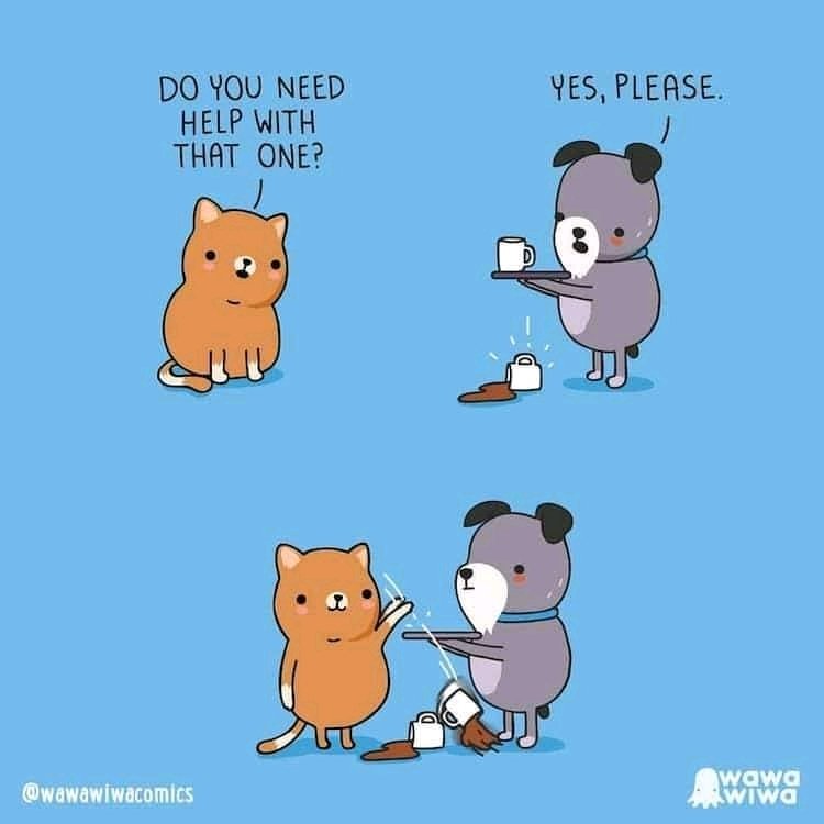 🤣