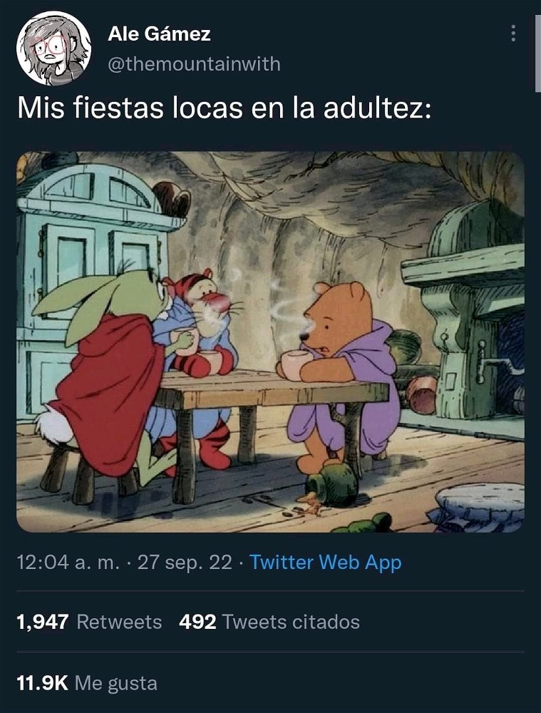 Mi vejez