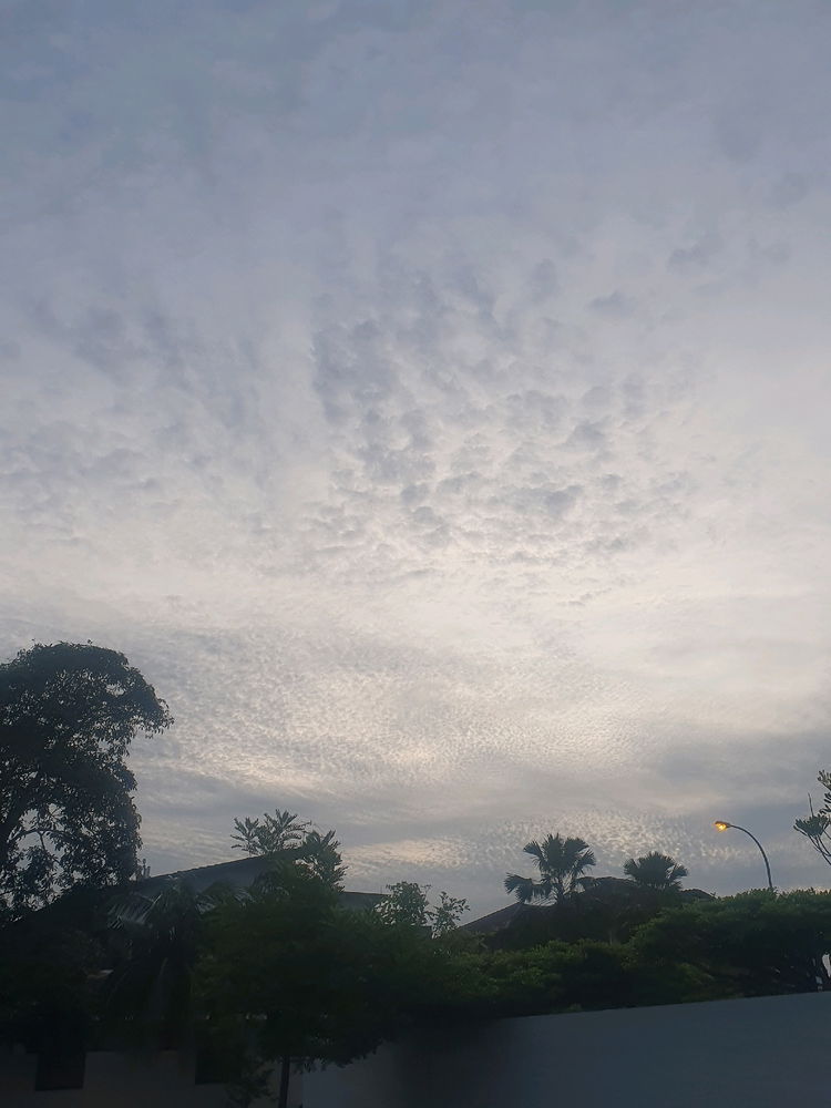 The sky..