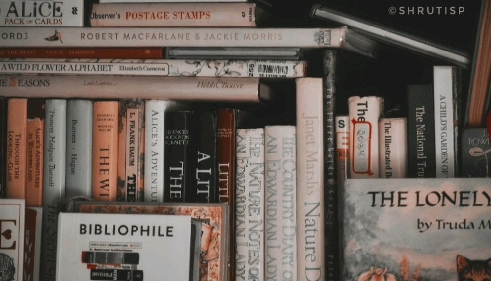 Postcards, Photographs, and Paracetamol