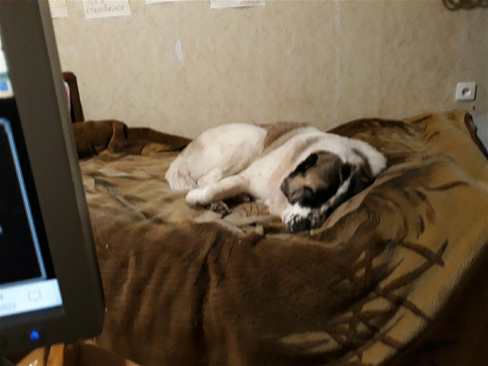 😴😌