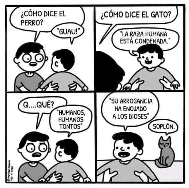 Un poco de ....
