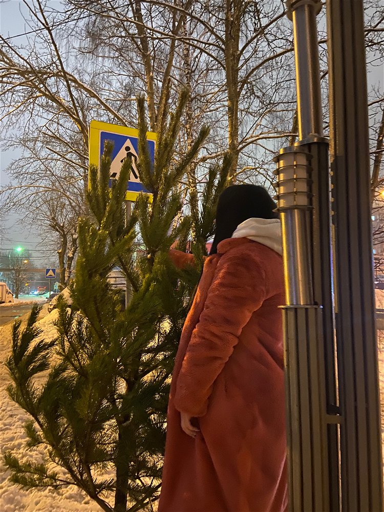 Новый год к нам мчится, получается