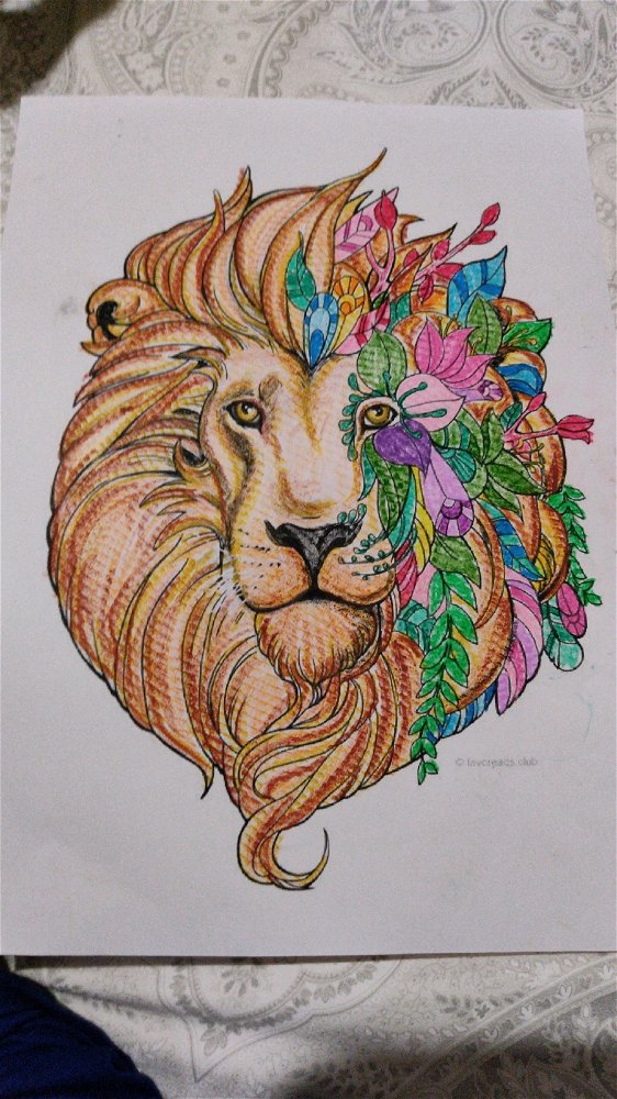 Coloreando