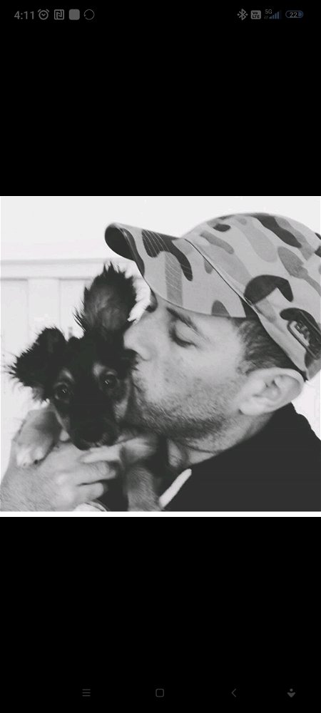 Tan bellos son 😍🐶