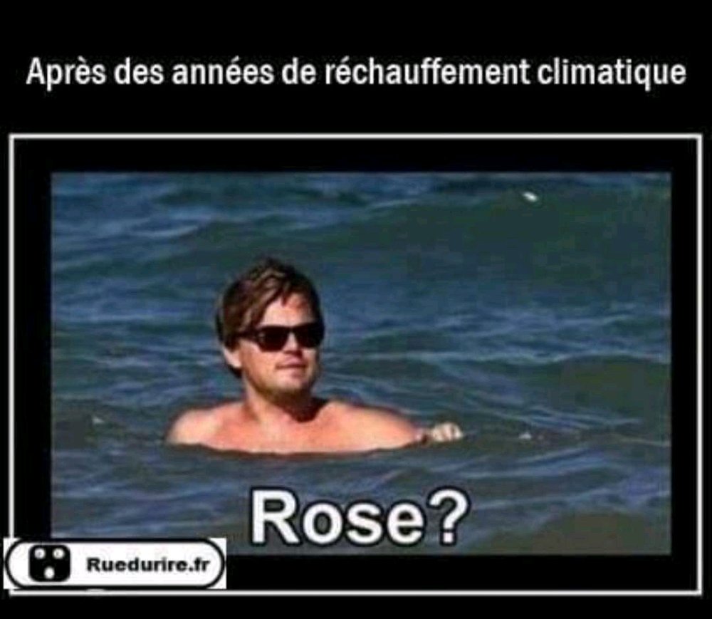 🤣🤣🤣