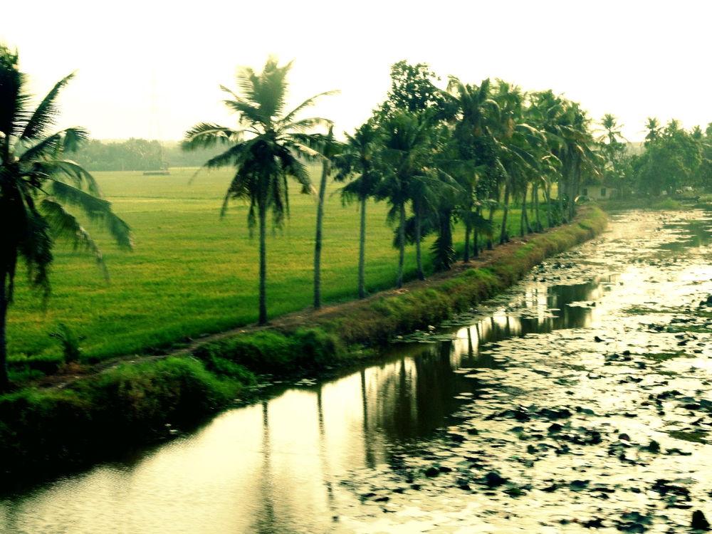 Karela