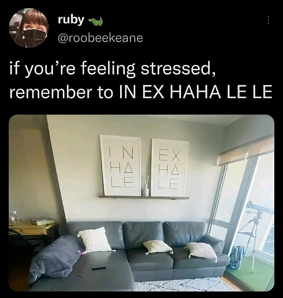 🤭🤭🤭😂🤣😂🤣