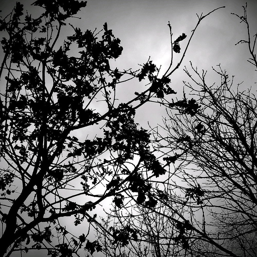 A bit of nature