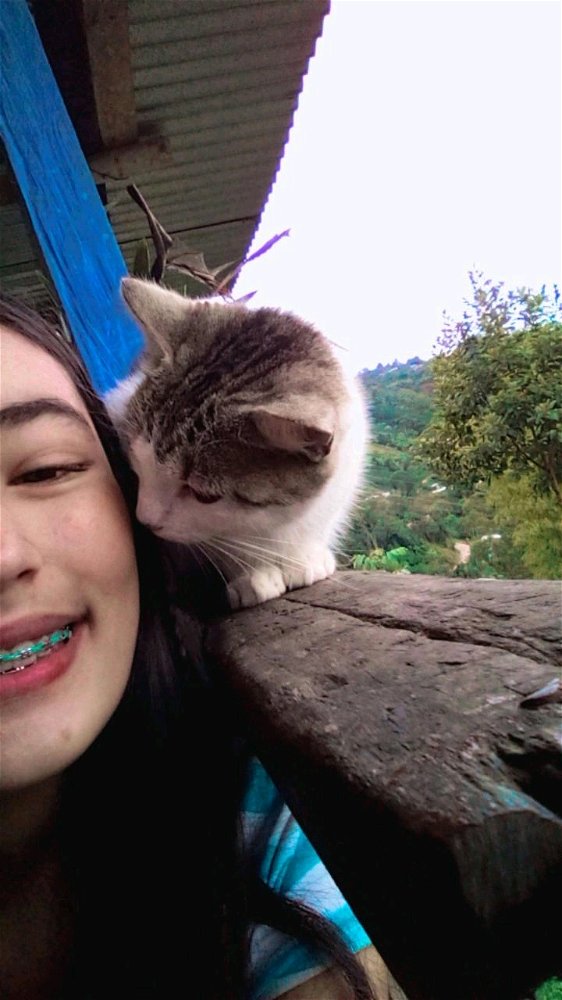 Mishi