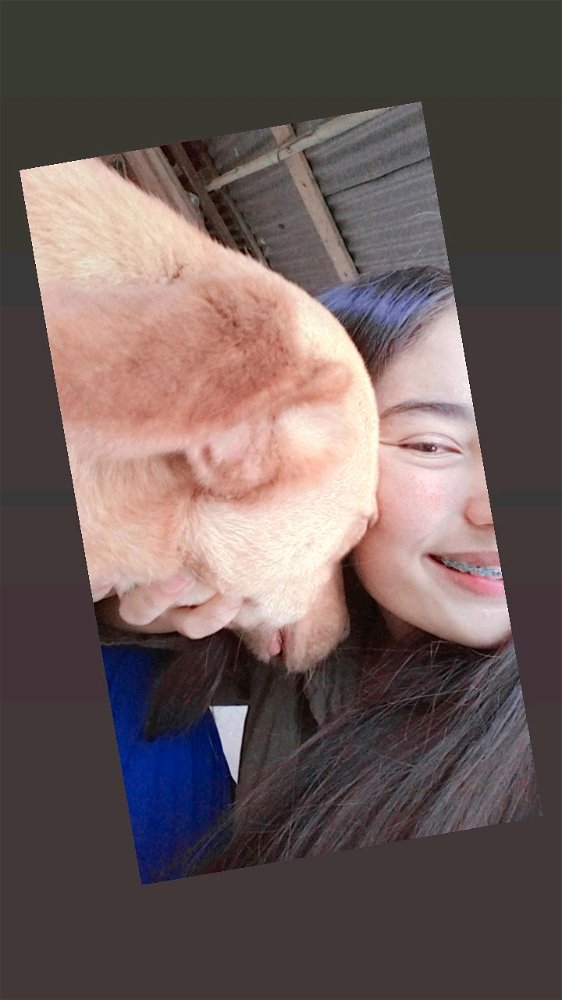 Hazan 🥰