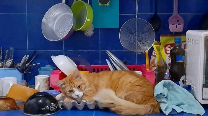 Tidur di posisi yg ga seharusnya 🤣