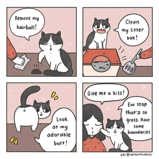 Boundaries