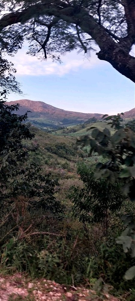Que saudade da minha Terra