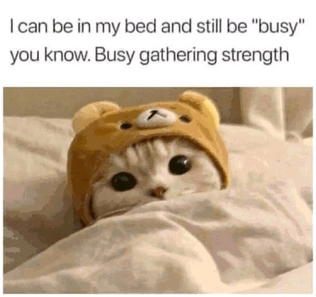 Good Morning