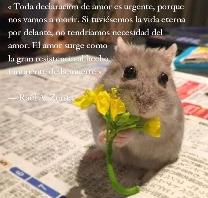 <3