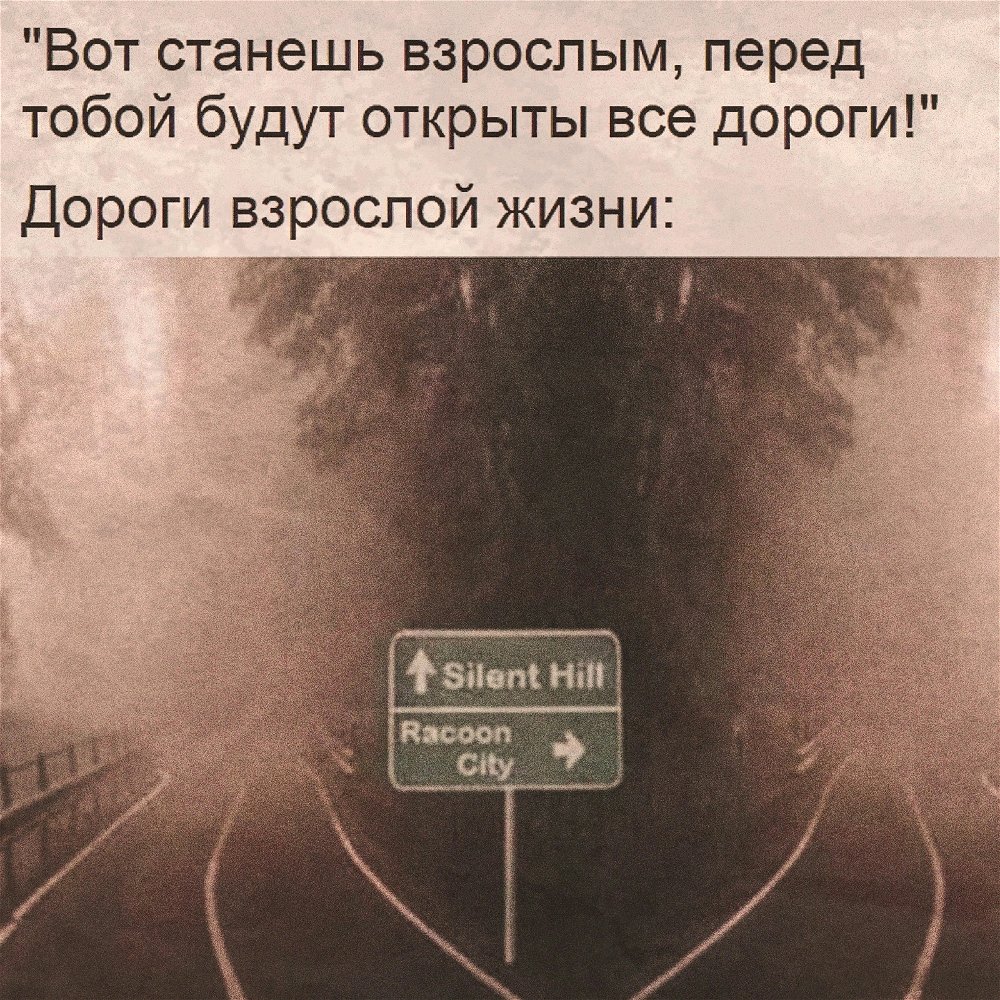 Хорош выбор