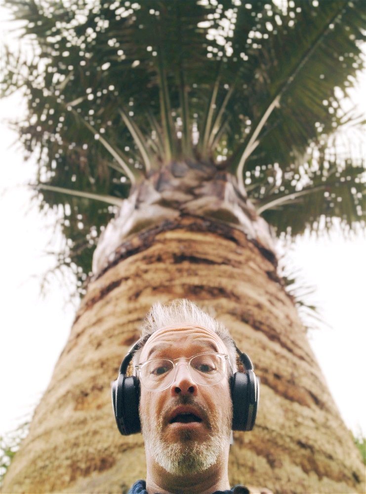 La tête sous un palmier 🌴