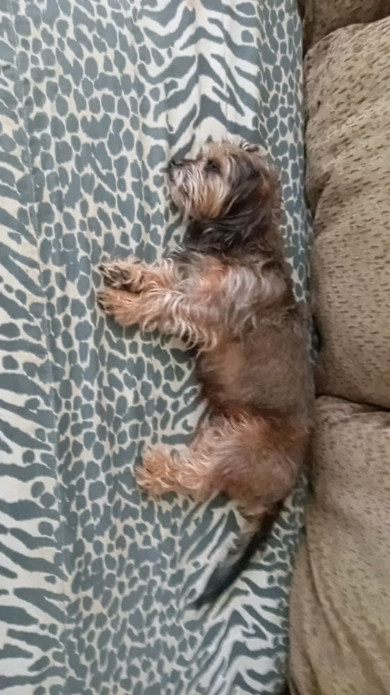 Crashed out