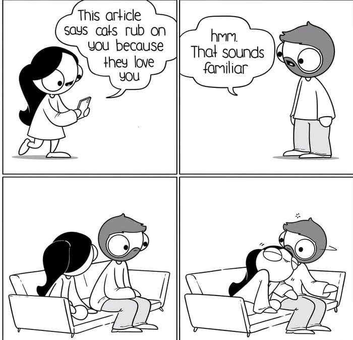 I like cute memes