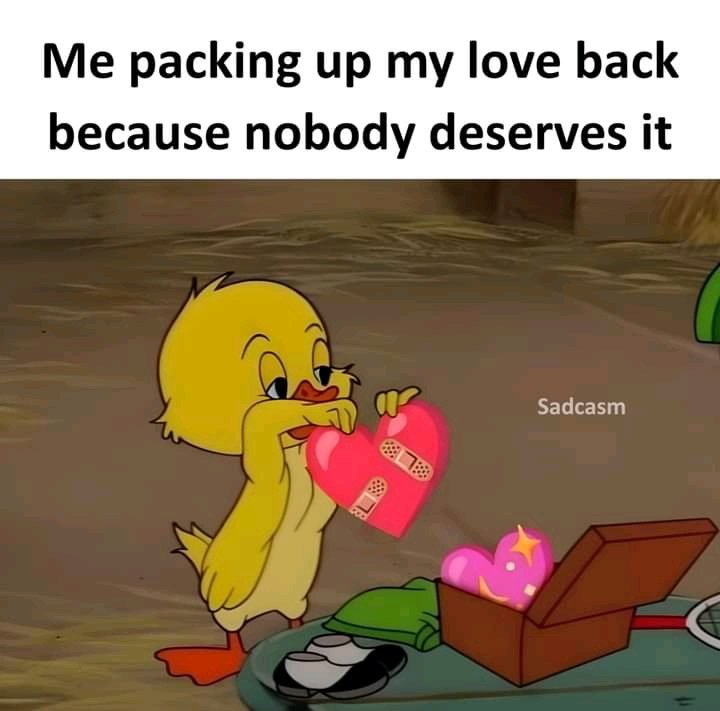 Bye 👋🤣