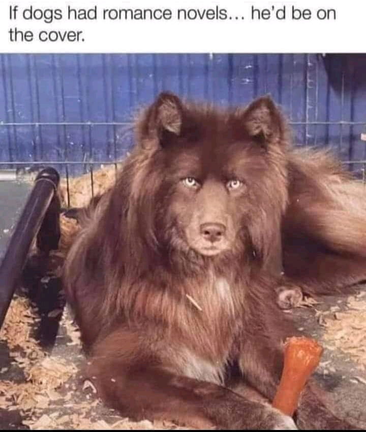 Has his own series