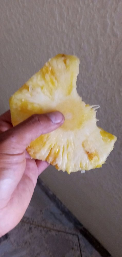 Solo las expertas sabrán porque me como media piña  😏😂