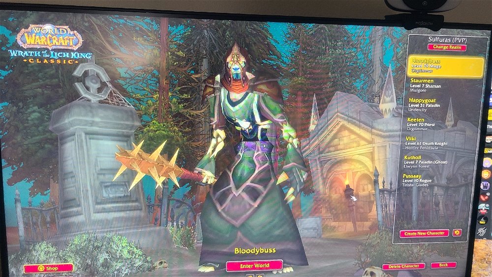 Anyone play wow wotlk? If so what server