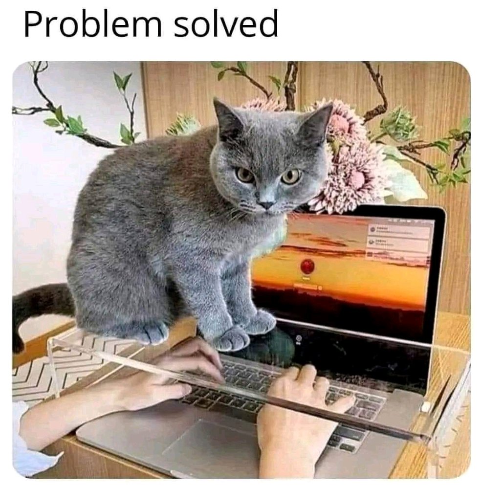 Is it tho 😼
