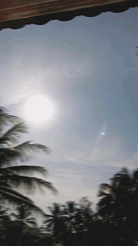 Morn