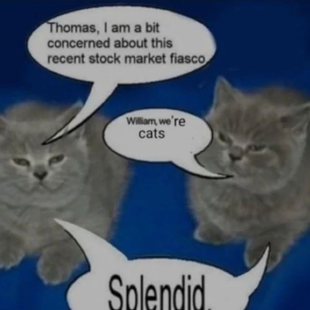 This is not financial advice