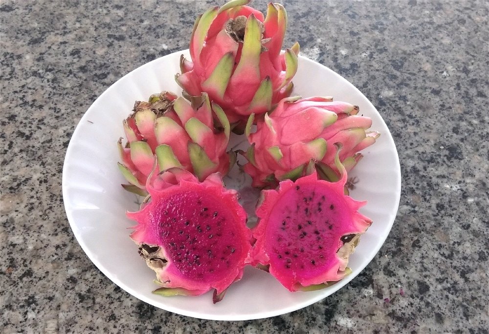 Un fruit purement Maicien Pitaya et c est la saison en ce moment, très délicieux