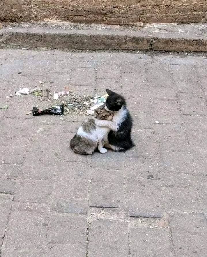 Quand on a besoin d etre épaulé par un vrai ami sa nous donne ça ❤️👇👇