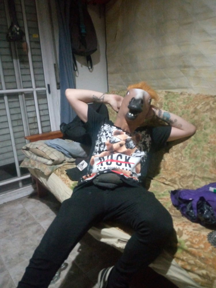 Yo el caballo 🤭