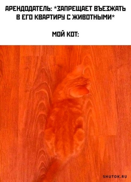 Гуру камуфляжа