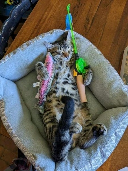 Добытчик