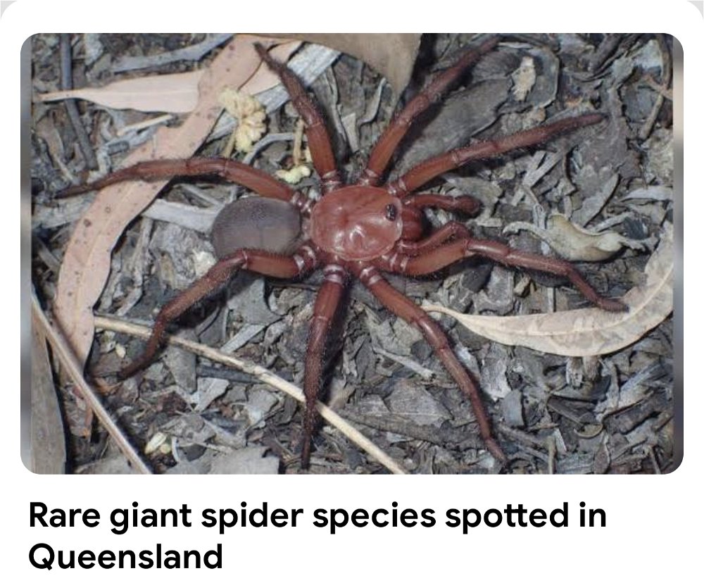 ARE THERE ANY AUSTRALIANS WHO CAN CONFIRM THIS?!