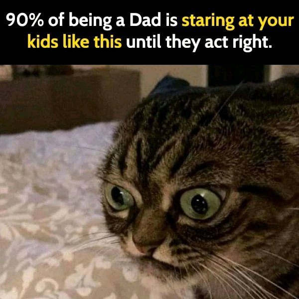 Dad life. 🤣