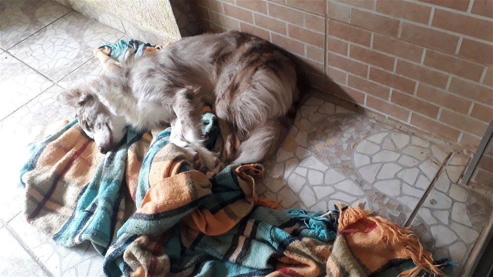A tranquilidade de quem não precisa pagar boletos!