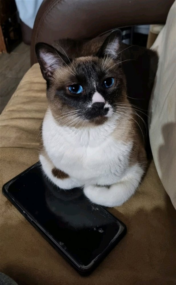 <3