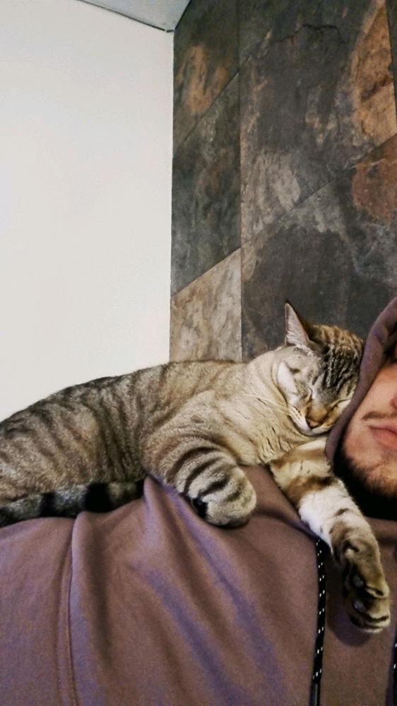 Así fue mi Domingo llegando a casa 😺

Y pensar que antes era alérgico a los gatos.